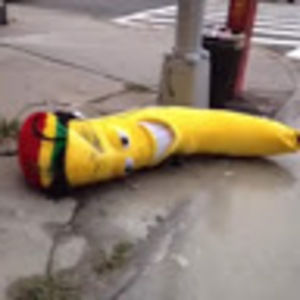 Meet your Posher, Hayden